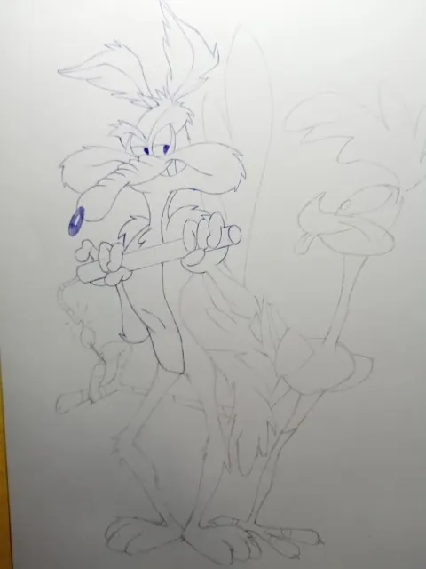 coyote7.jpeg