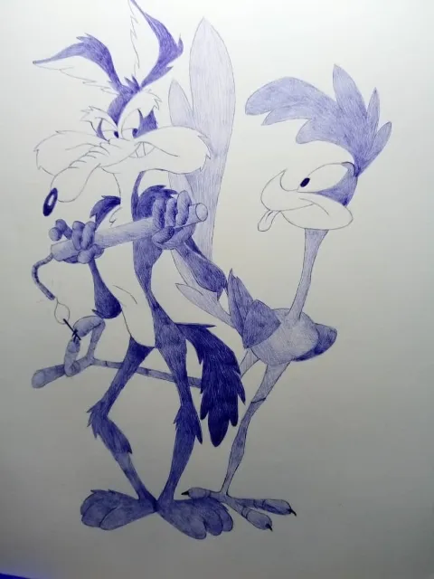 coyote11.jpeg