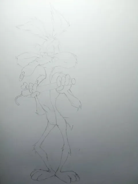 coyote3.jpeg