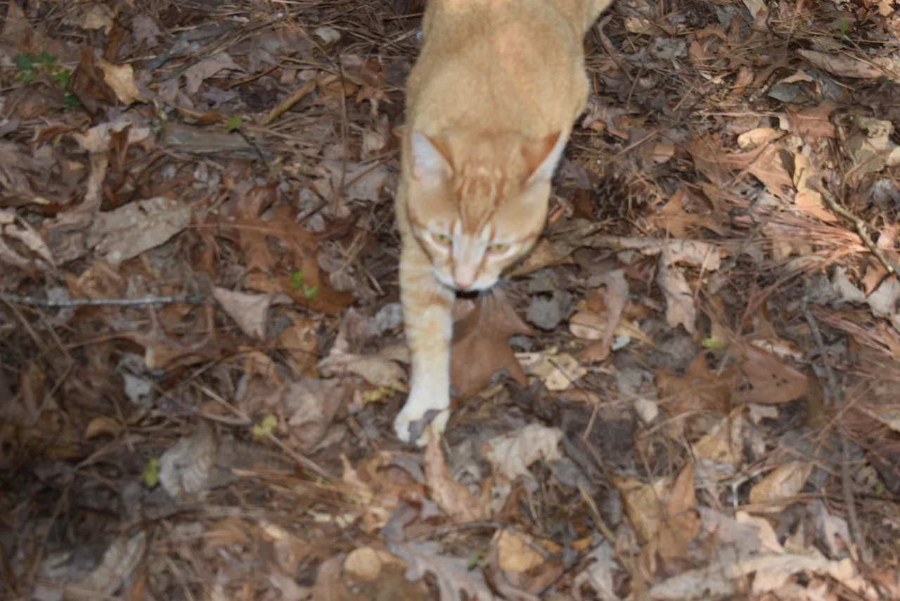 DSC_0019.JPG