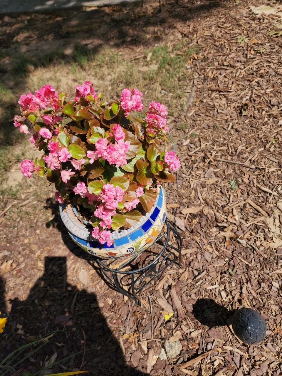 20220716_112231.jpg