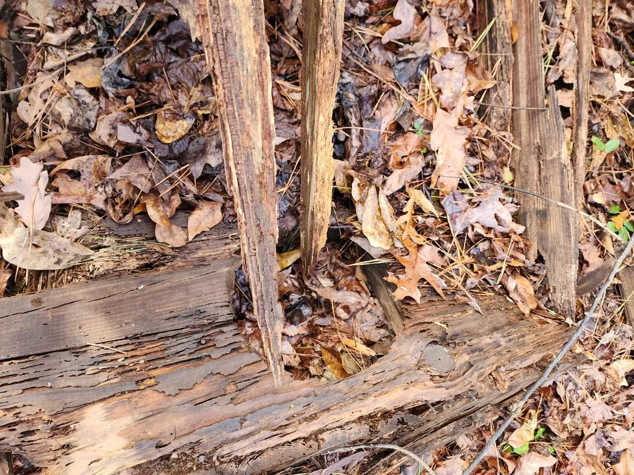 20221231_155846.jpg