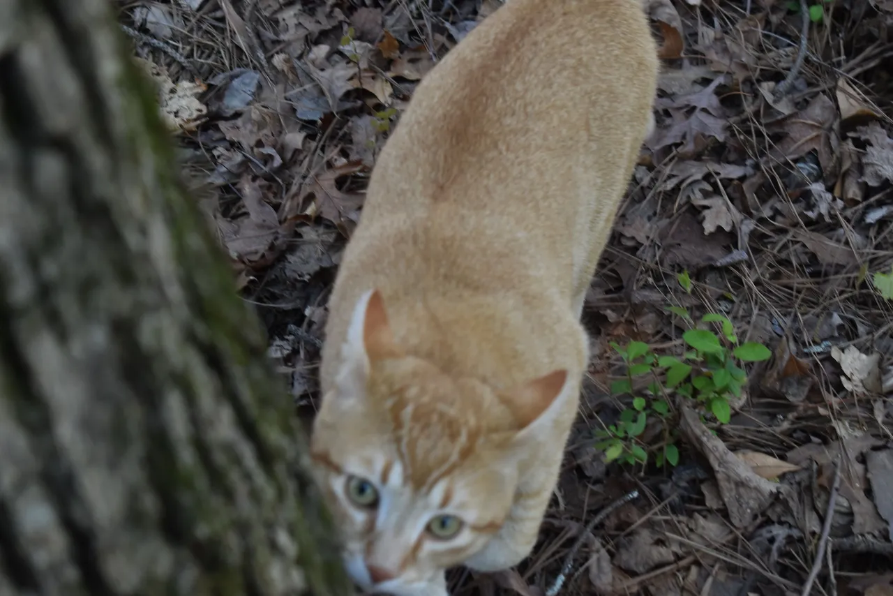 DSC_0016.JPG
