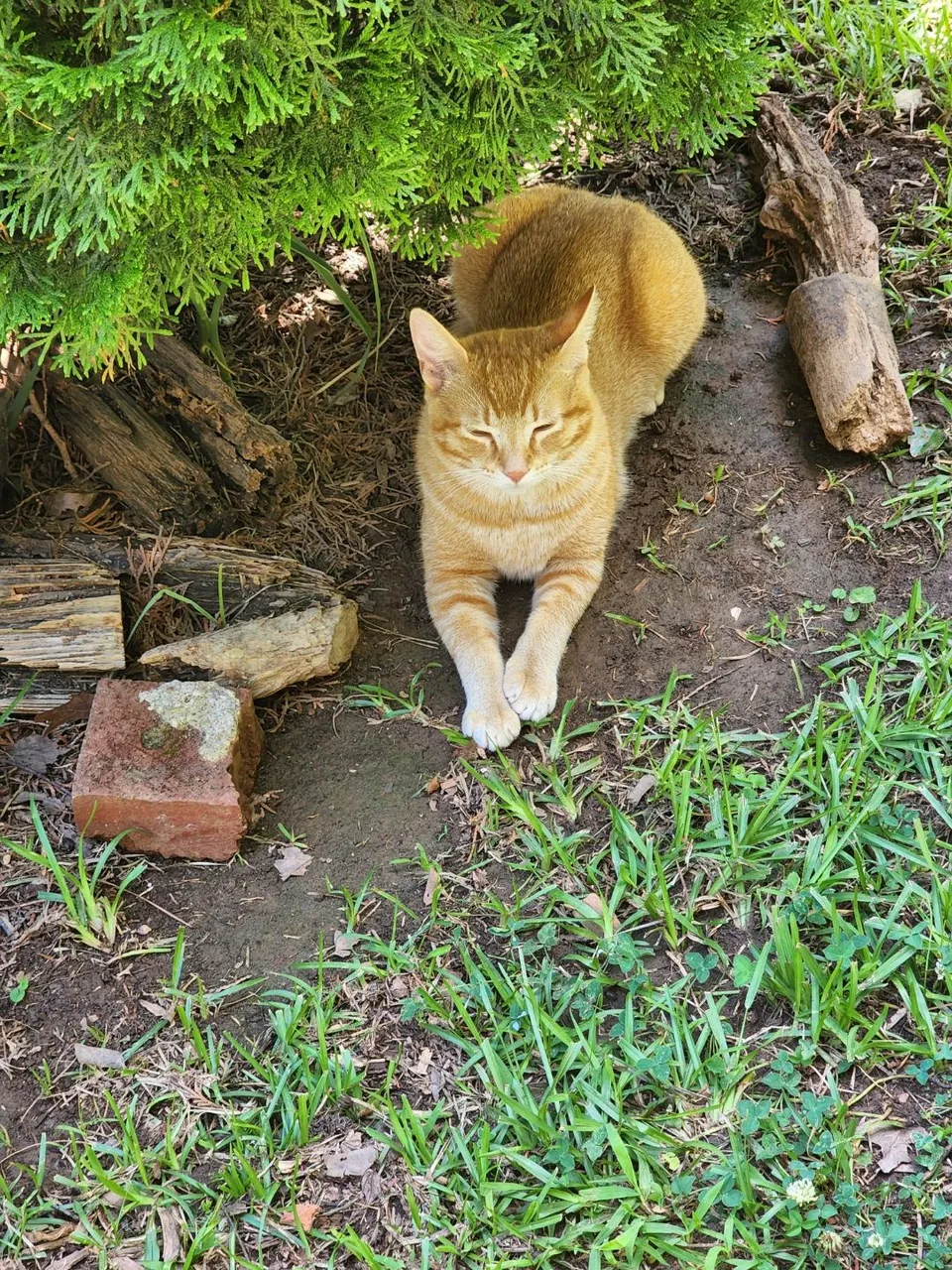 20220702_130335.jpg