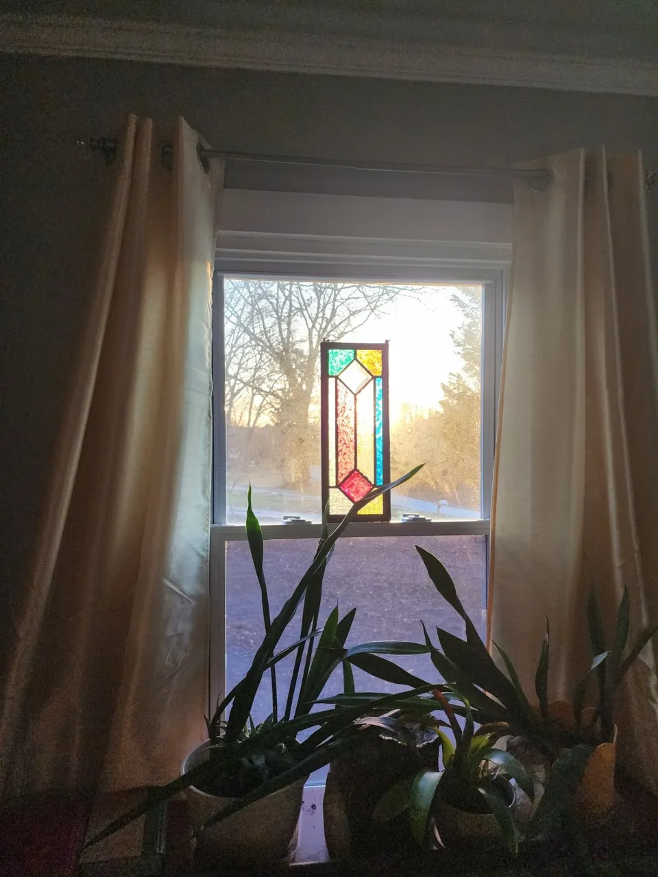 20240225_072720.jpg