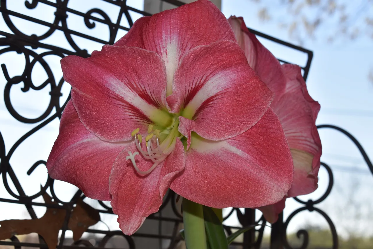 DSC_0028.JPG