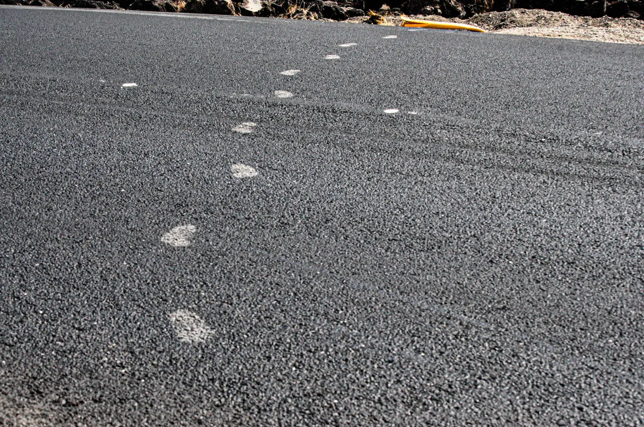I left my footprints marked with dust on the road.