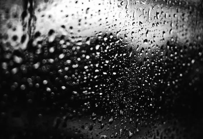 photo-1624681957366-4256ed6a62b0.jpeg