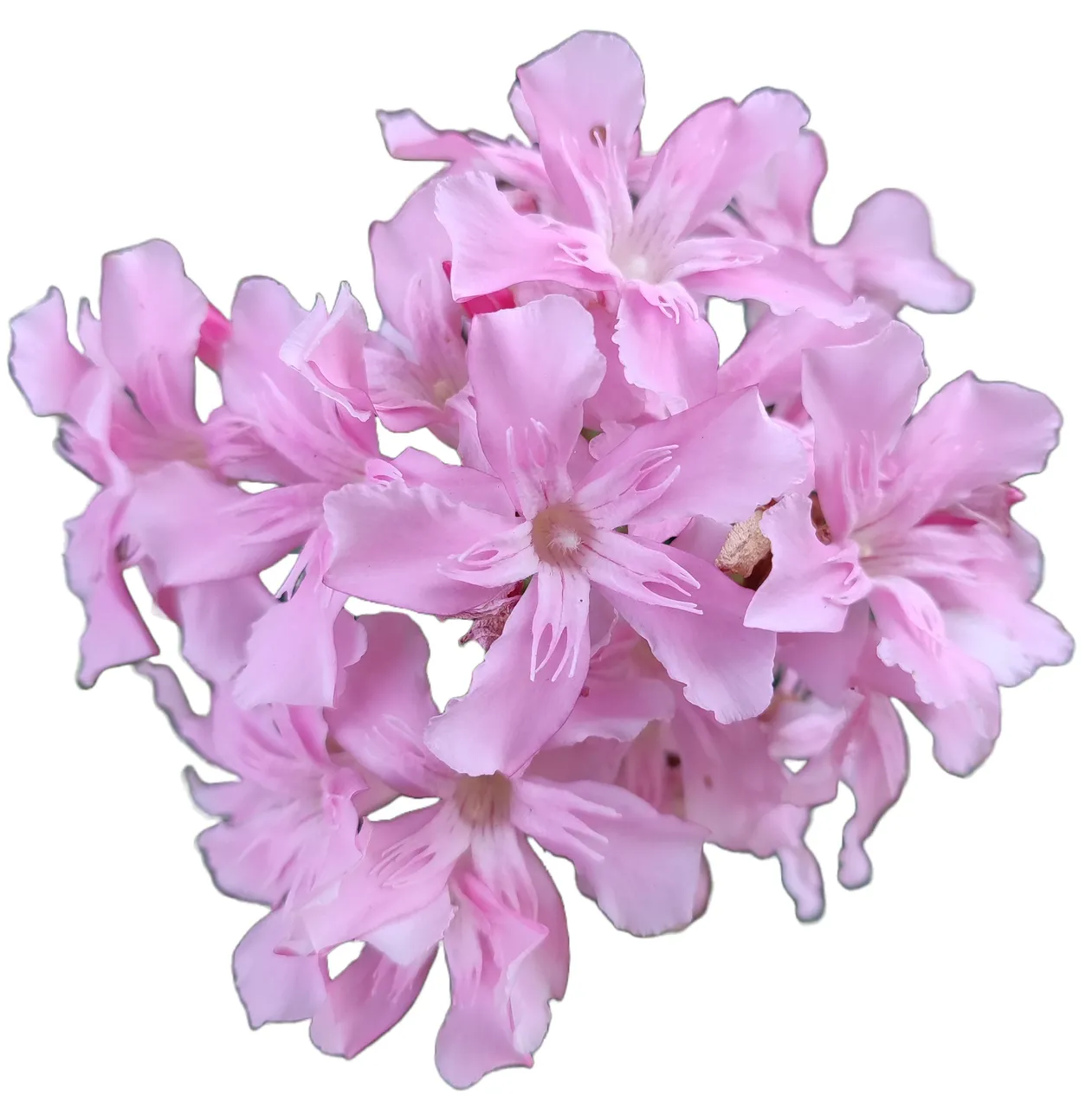 img_20220810_102842_01_adobe_express.png