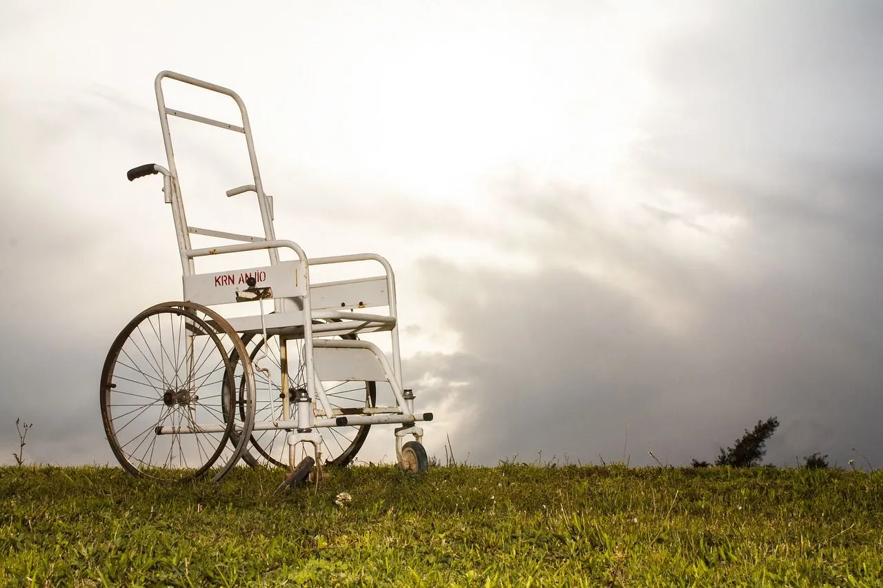 disabled-2339805_1280.jpg