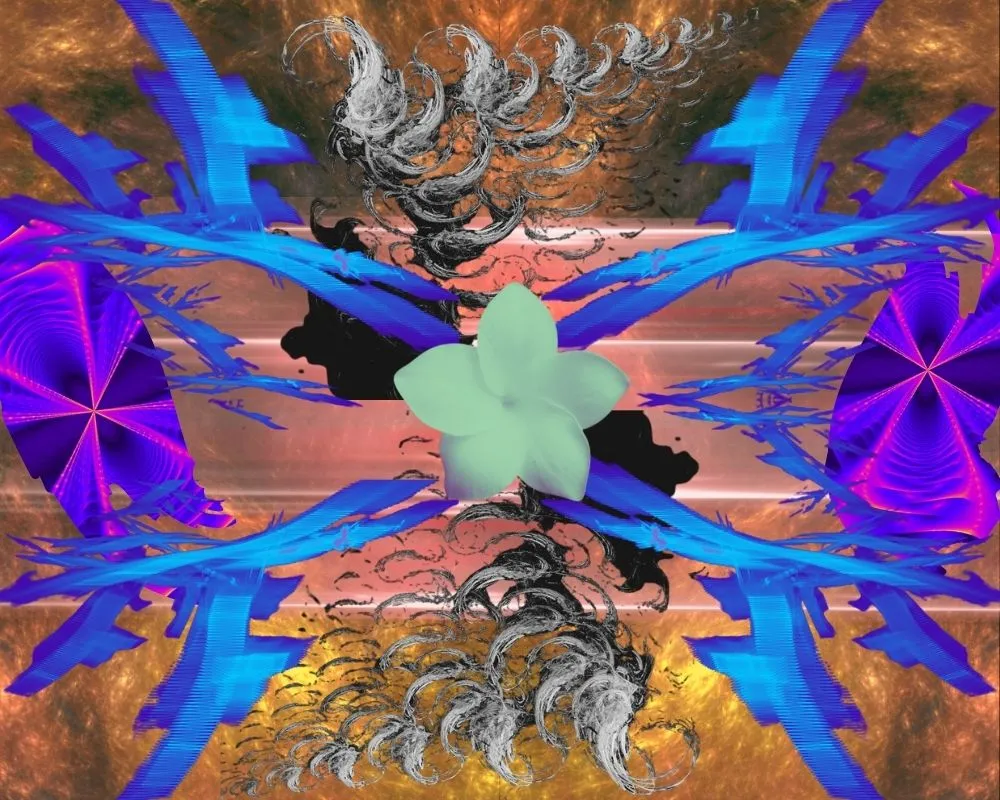 Apophysis-Directions-Ver2.jpg