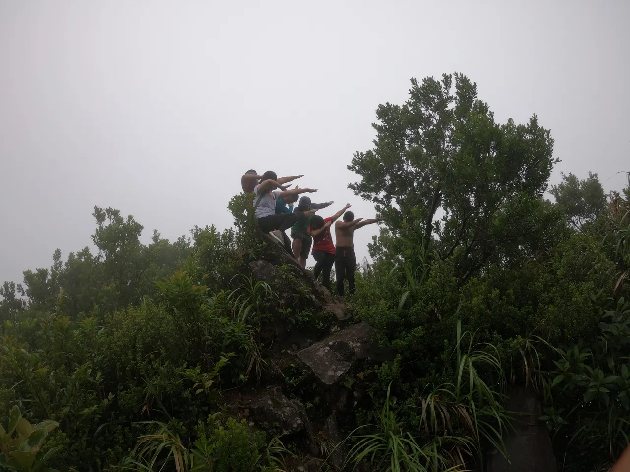 G0040375_1544585244781_high.JPG