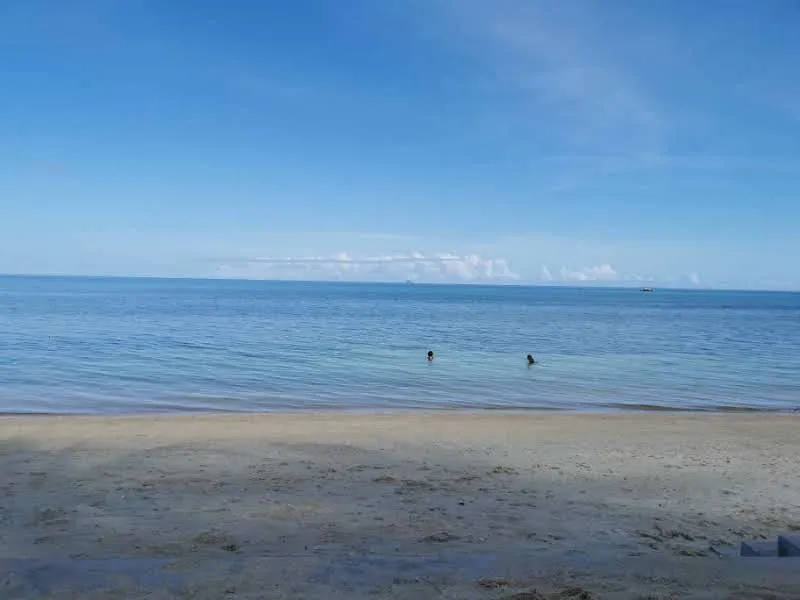 IMG_20210124_092047.jpg