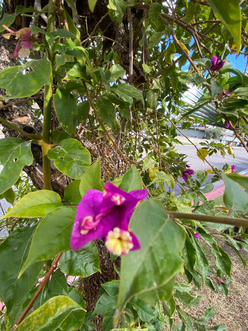 F8436D43-F60A-4B14-A09E-0186935BC2D4.jpeg