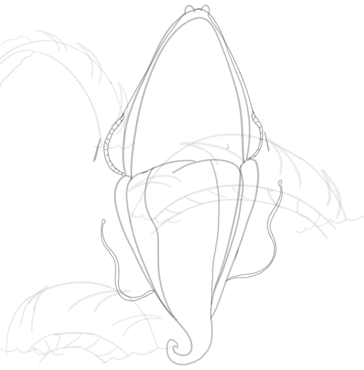 Untitled19_20220221175531.png