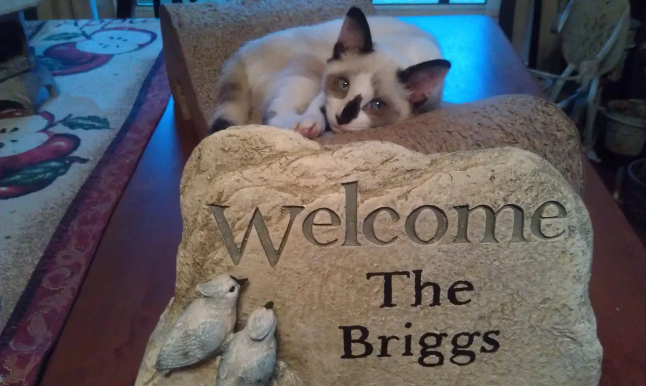 A Hallie Welcome Home 2013.jpg