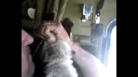 20240225_134956.gif