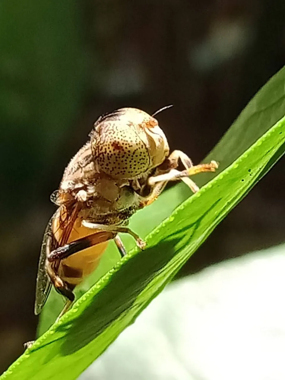 IMG20210706135059-1.jpg