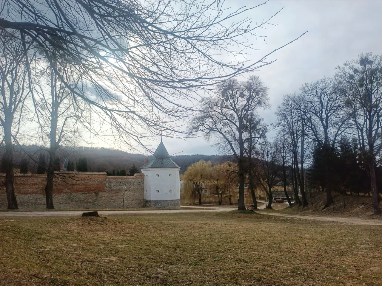 IMG_20250319_111500.jpg