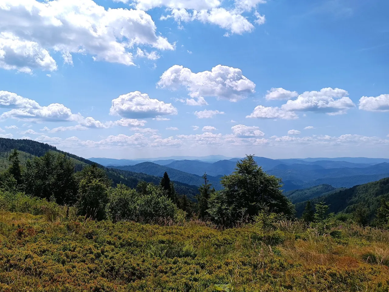 IMG_20220727_023643.jpg