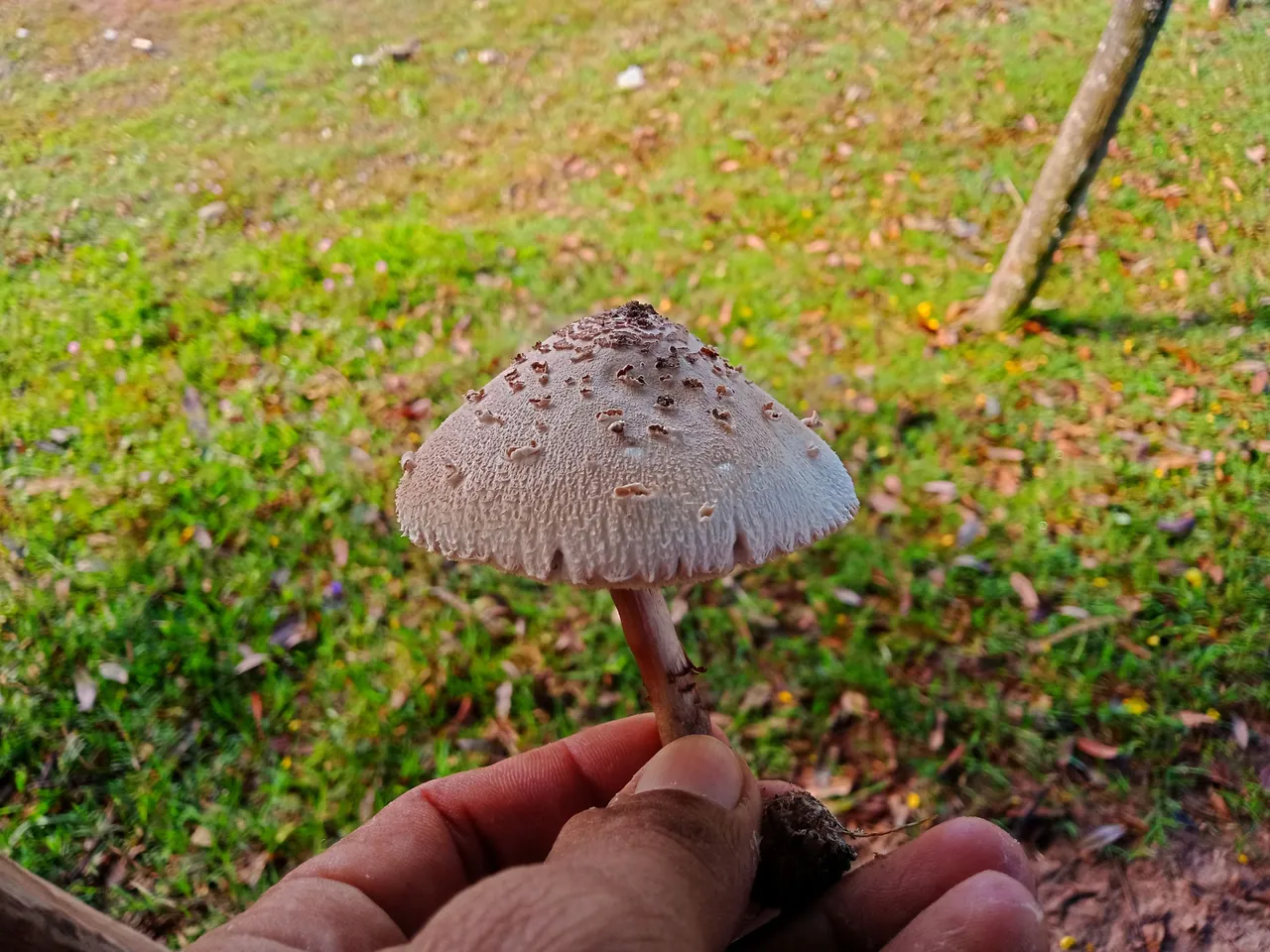 IMG20220222080639-01.jpeg