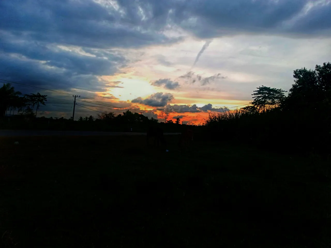 IMG20220526180206-01.jpeg