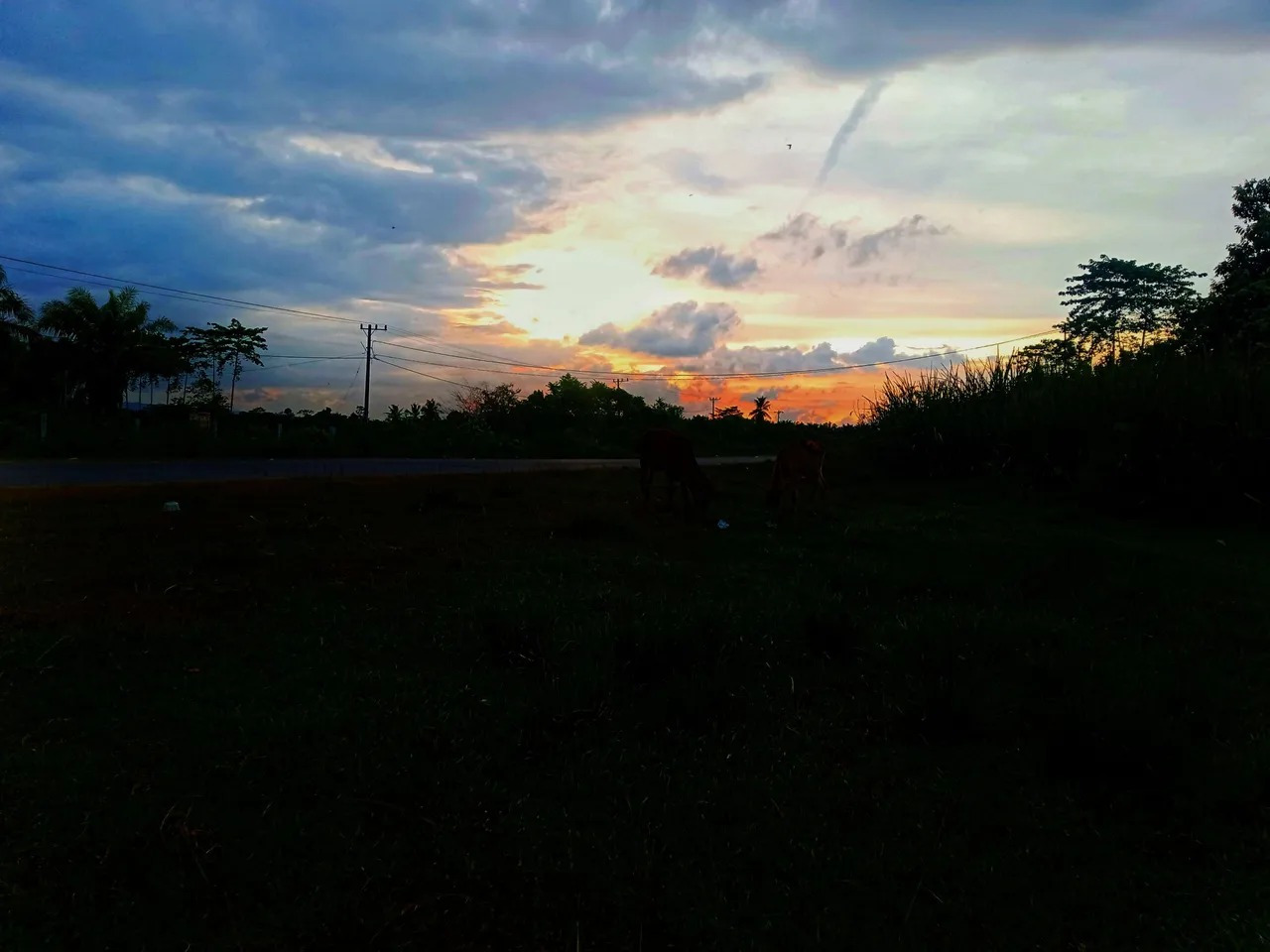 IMG20220526180200-01.jpeg