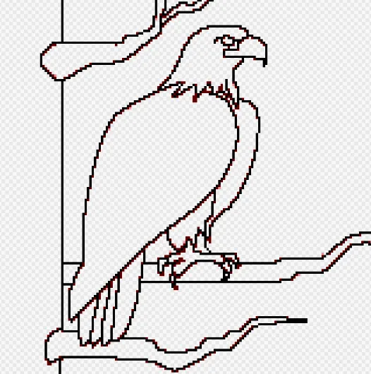 5.png