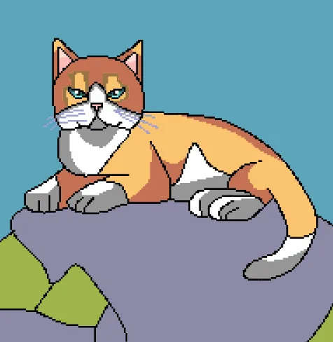 5.png