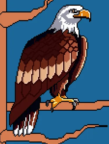 9.png