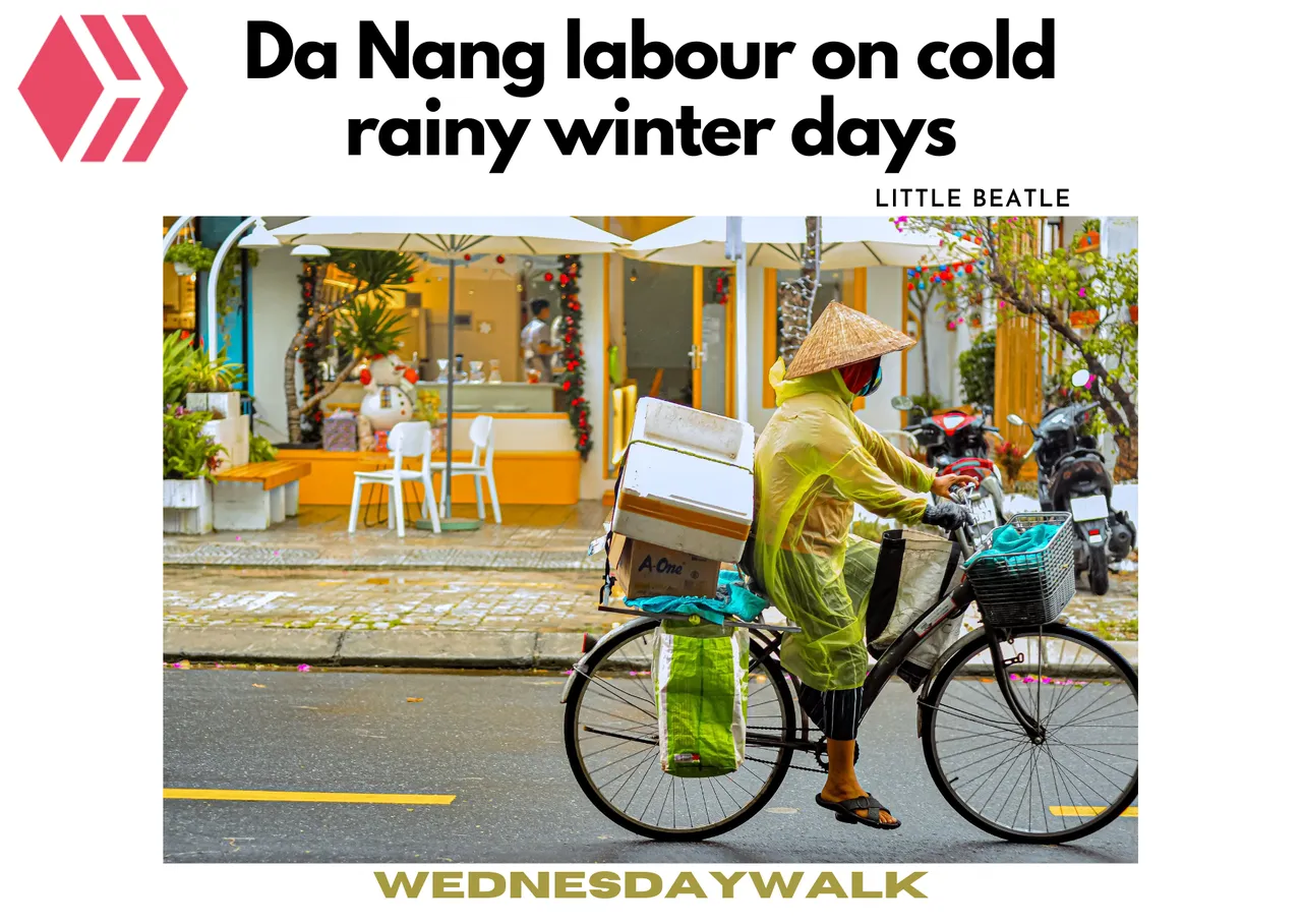 Da Nang labour in cold rainy winter days (1).png