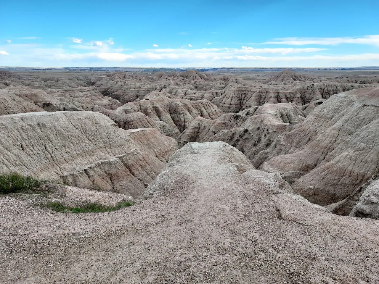 20240502_173046.jpg