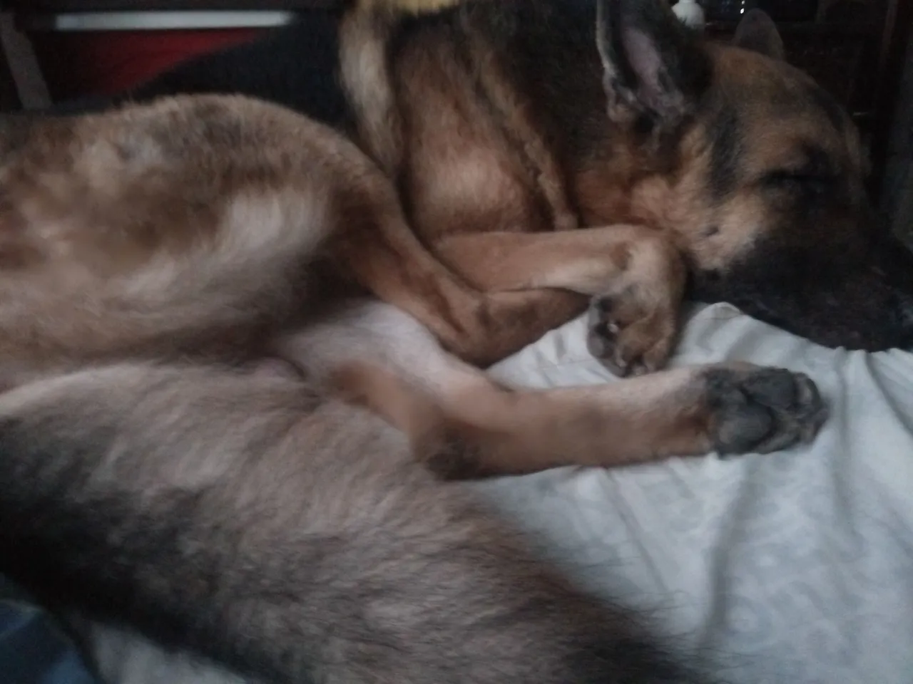 IMG20201002054833.jpg