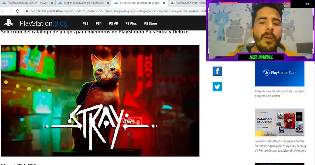 stray.jpg