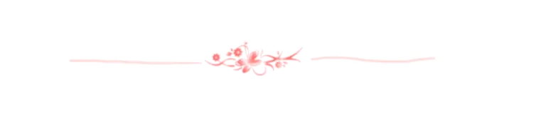 Separadores-5-768x167.png