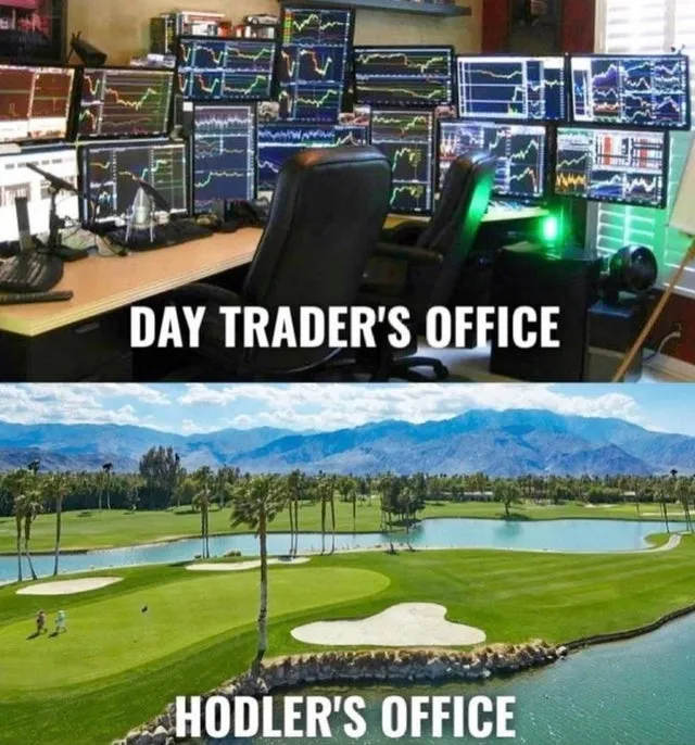trader vs hodler.jpg