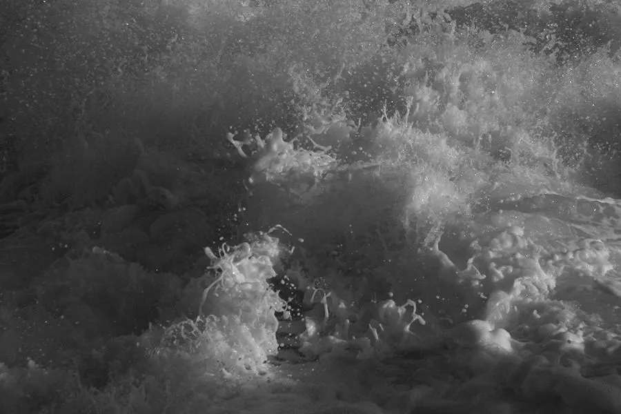 Foamy_007_s_BW.jpg