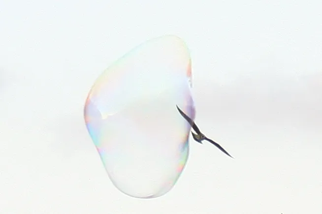 Bubble_Crop_002.jpg
