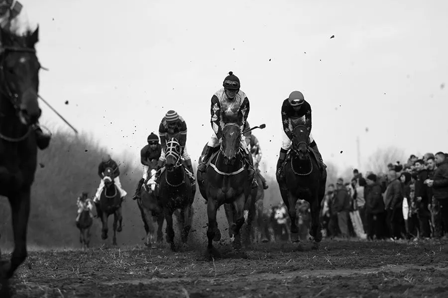 Racing Horses 2023 BW 001 s.jpg