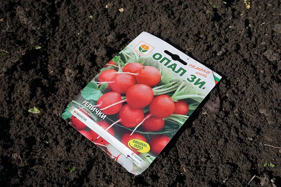Seeds_Session_26_02_2022_photo_007_s.jpg