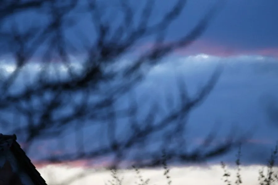 Soft_Blue_Hours_s.jpg