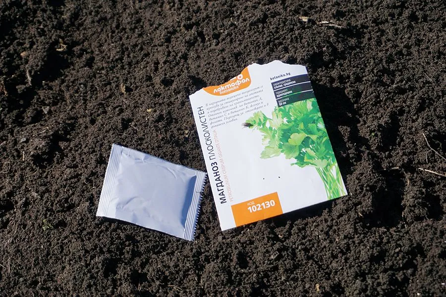 Seeds_Session_26_02_2022_photo_002_s.jpg