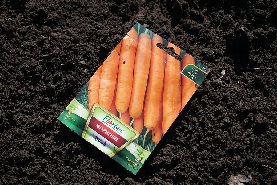Seeds_Session_26_02_2022_photo_005_s.jpg