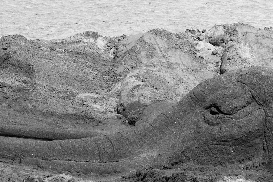 Elephant_In_The_Sand_s_BW.jpg