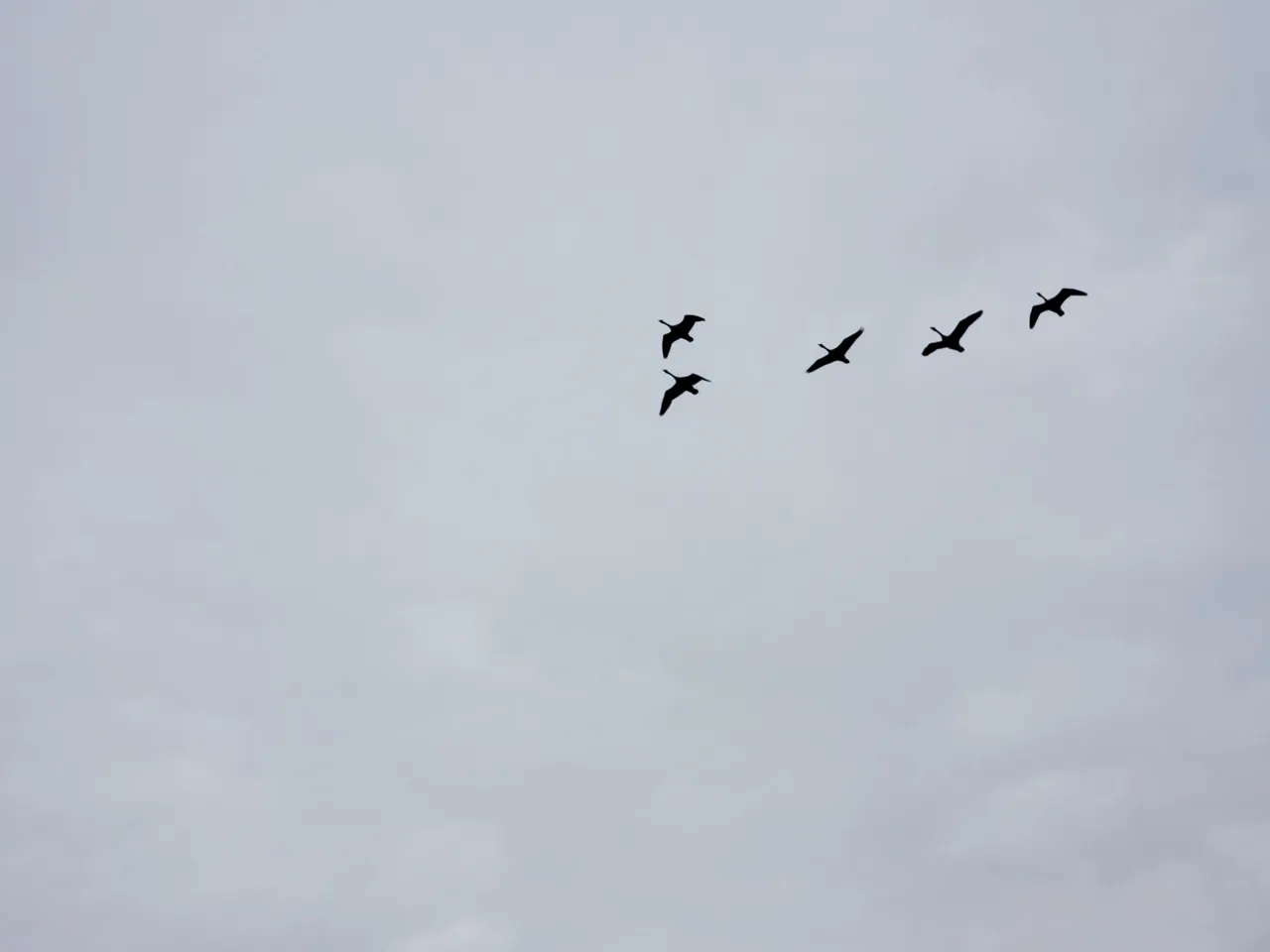 20250406_115122.jpg