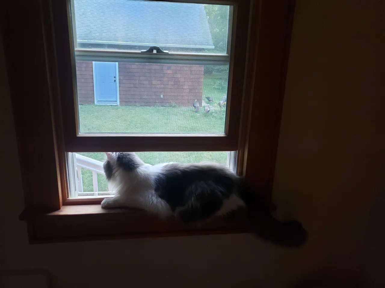 20230904_071408.jpg