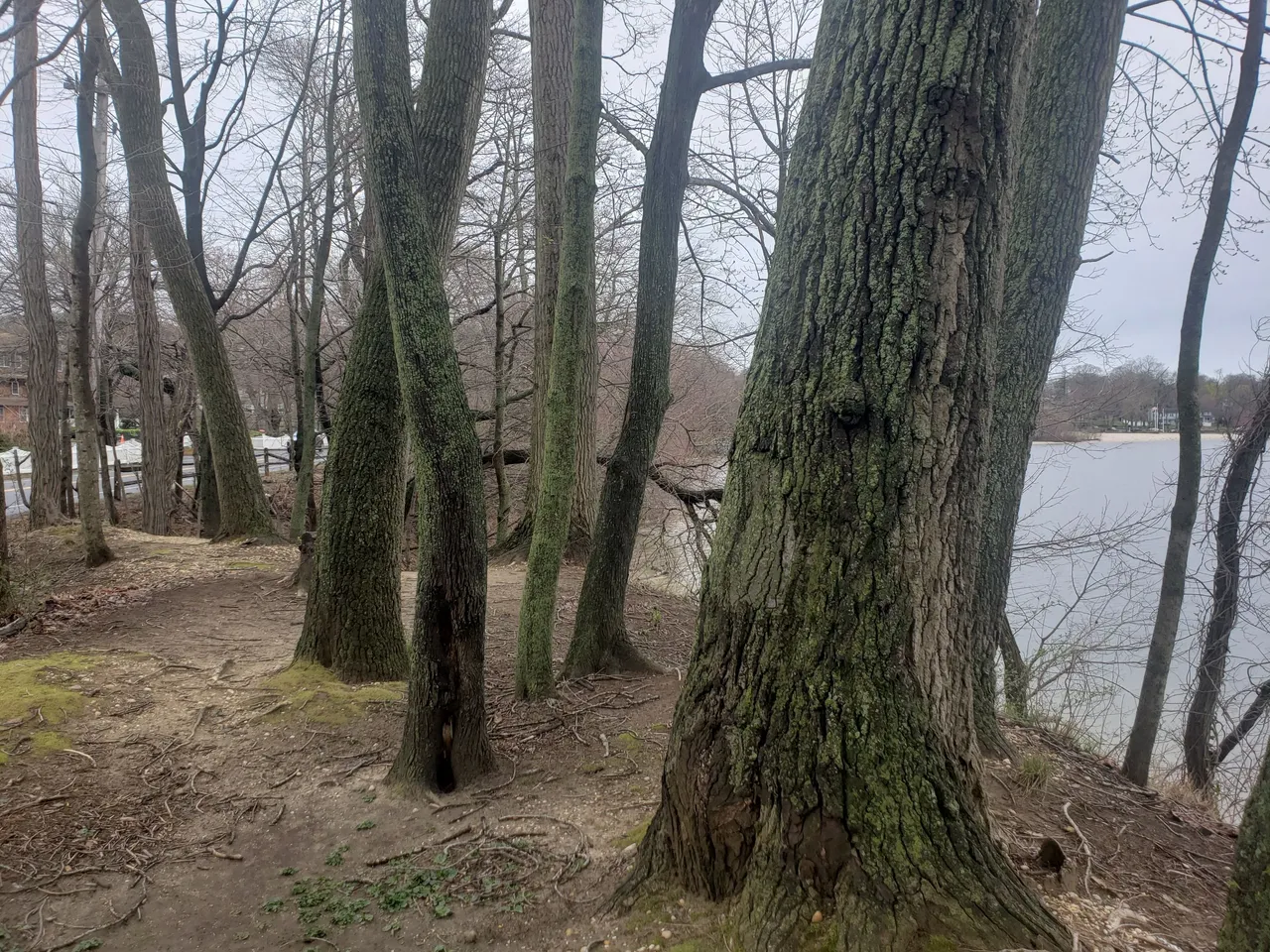 20250406_115941 - Copy.jpg