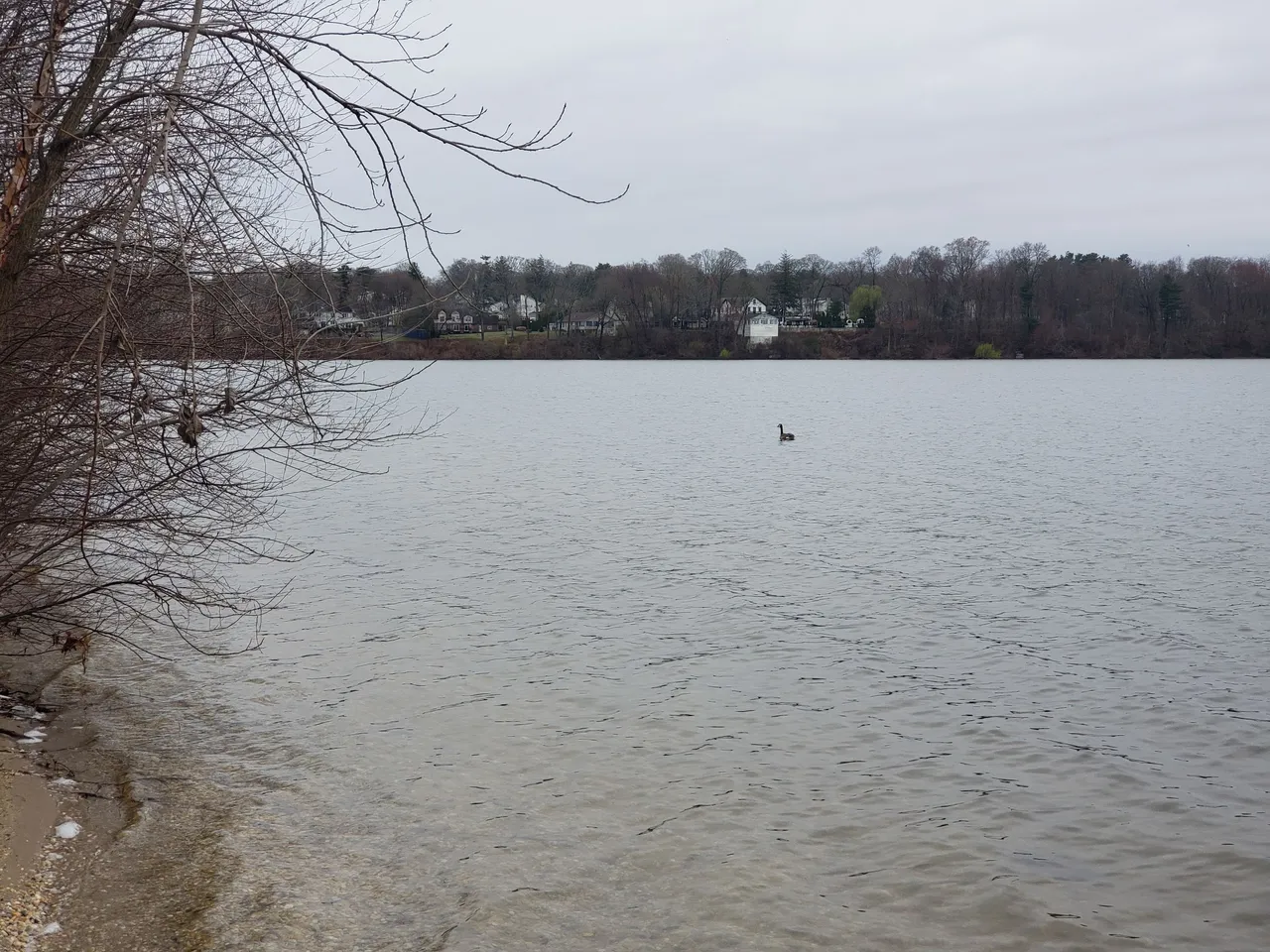 20250406_114933 - Copy.jpg