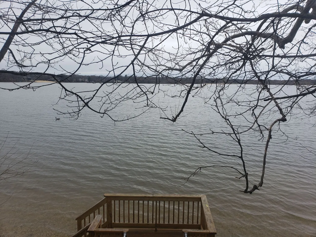 20250406_114902 - Copy.jpg