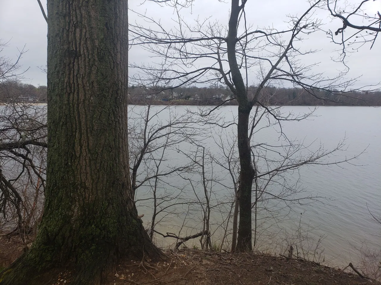 20250406_120003 - Copy.jpg